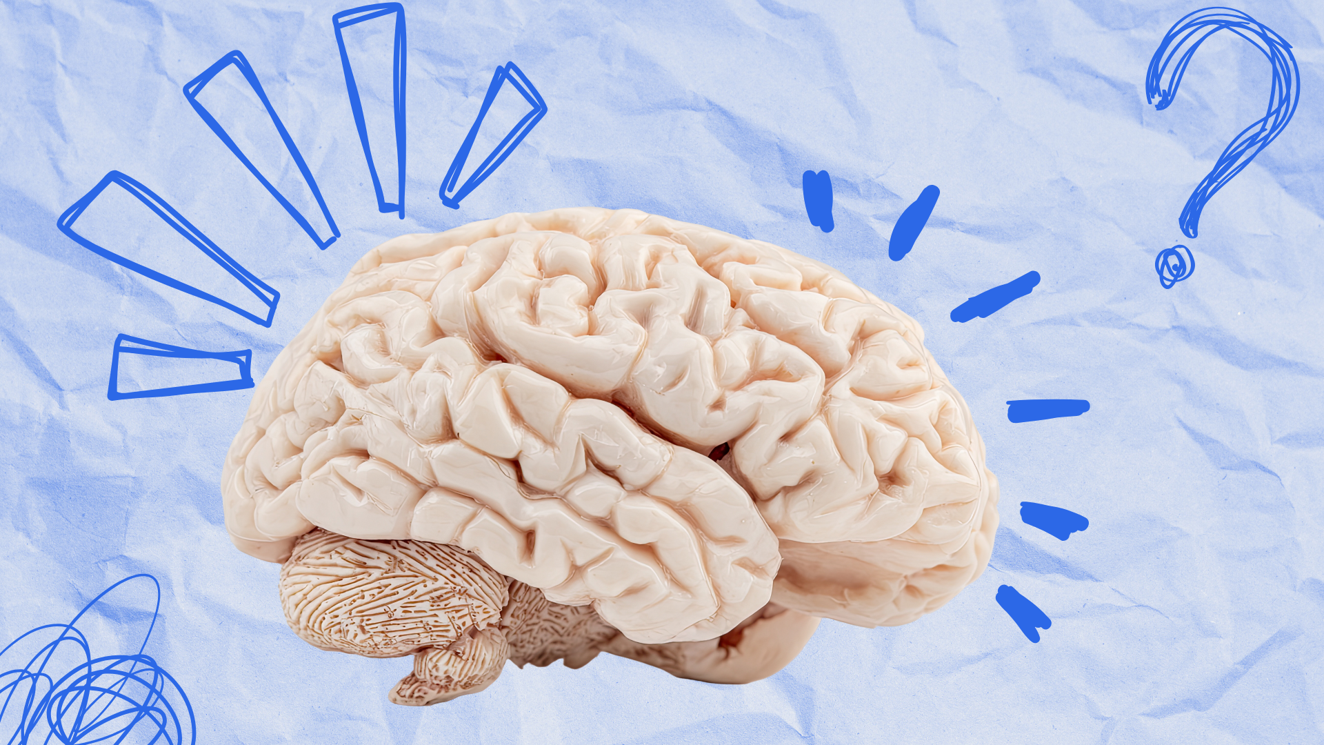 Entice the Reptilian Brain To Get [And Keep] Strategic Adoption