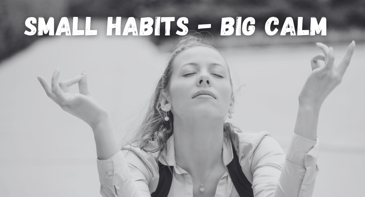 🌱 Small Habits, Big Calm