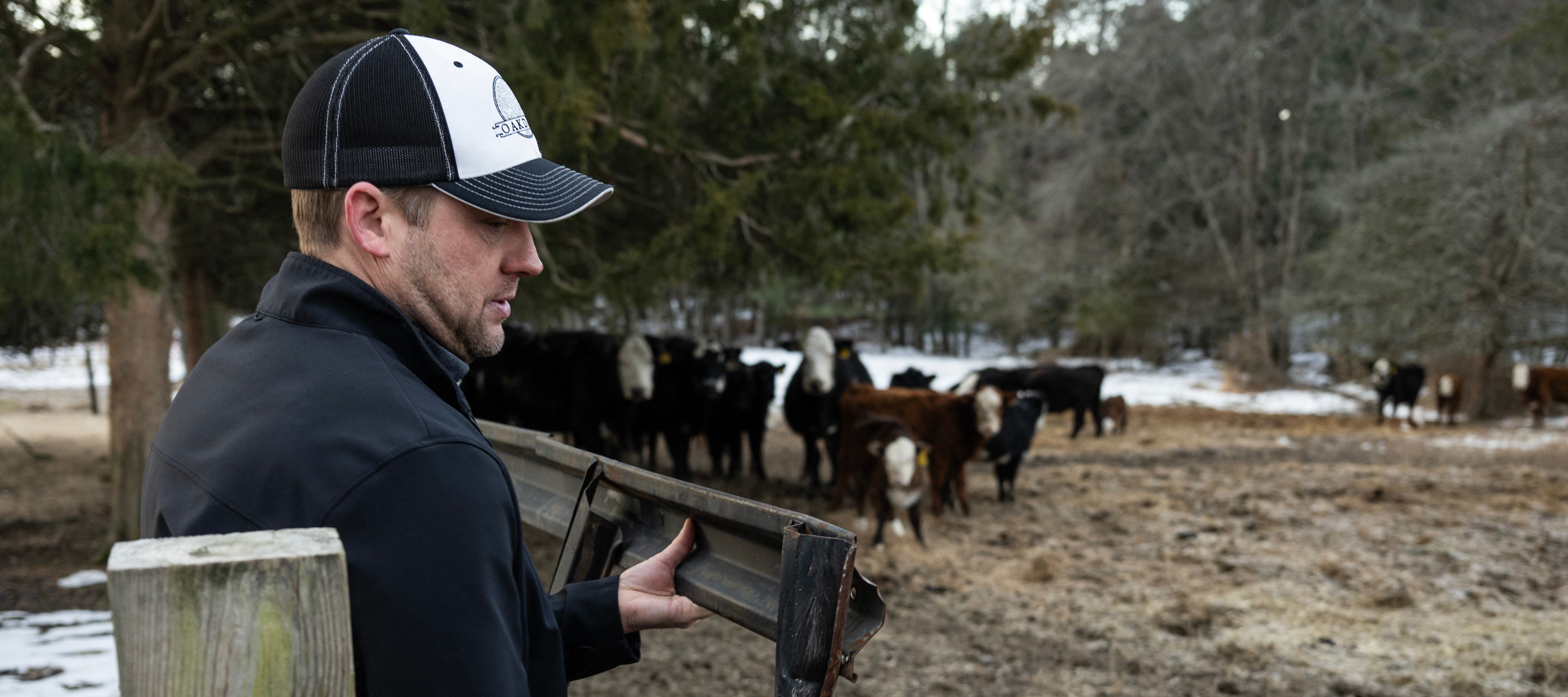 🛒 Your grocery bill is rising again