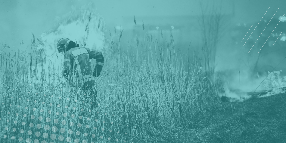 Green Climate Fund Approves Near $1bn in New Projects, US Forest Service Overhaul, Climate Emergencies Resilience Lab Launches, and More