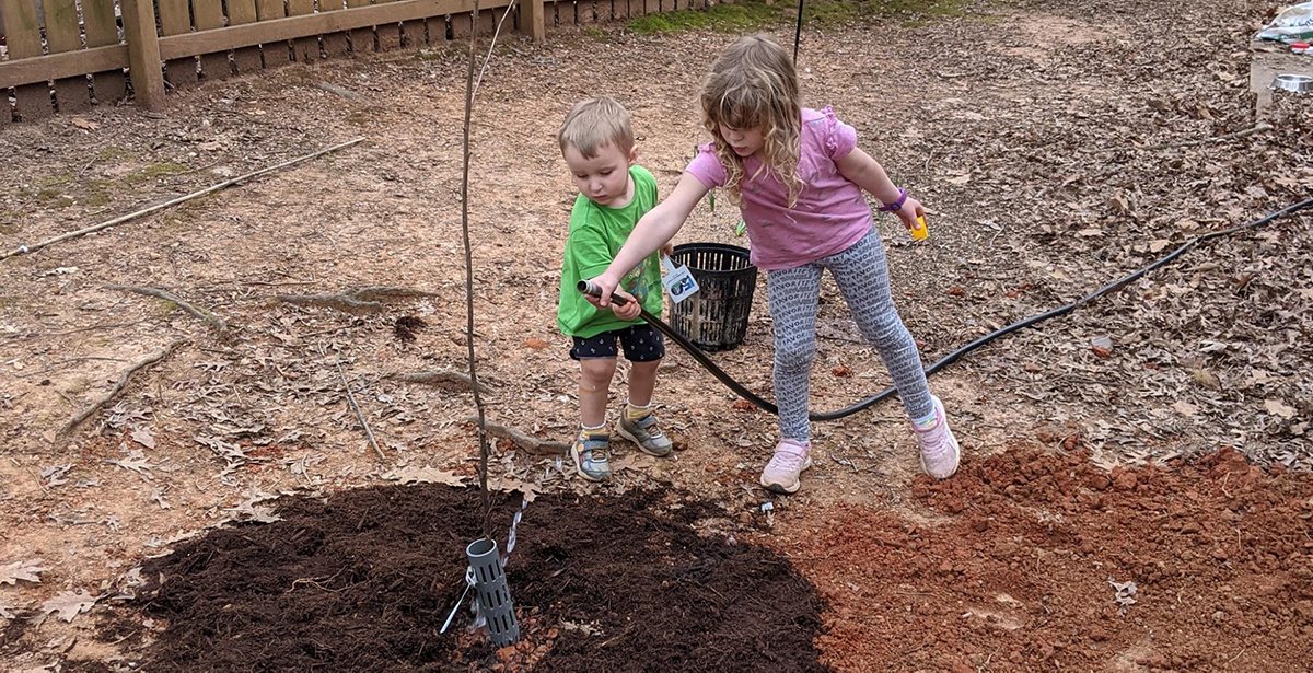 📘Two Newsletters in One