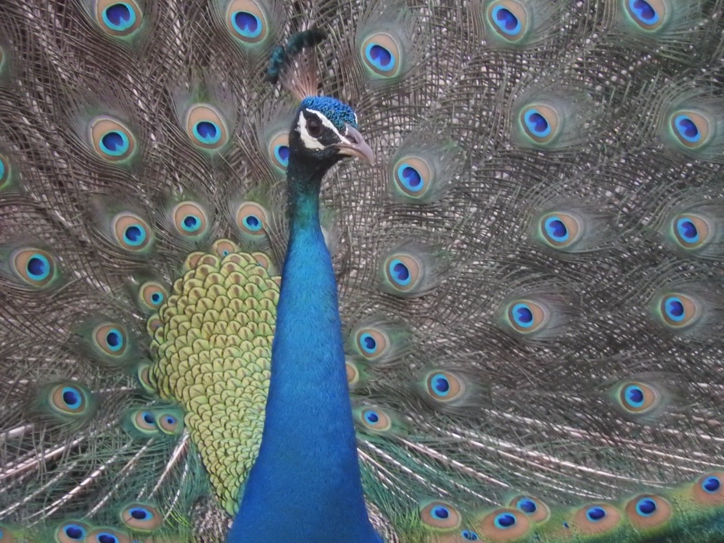 Is Your Best Day Ahead of You?