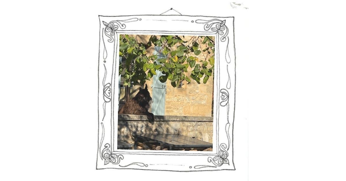 Bonfires, tools & fools