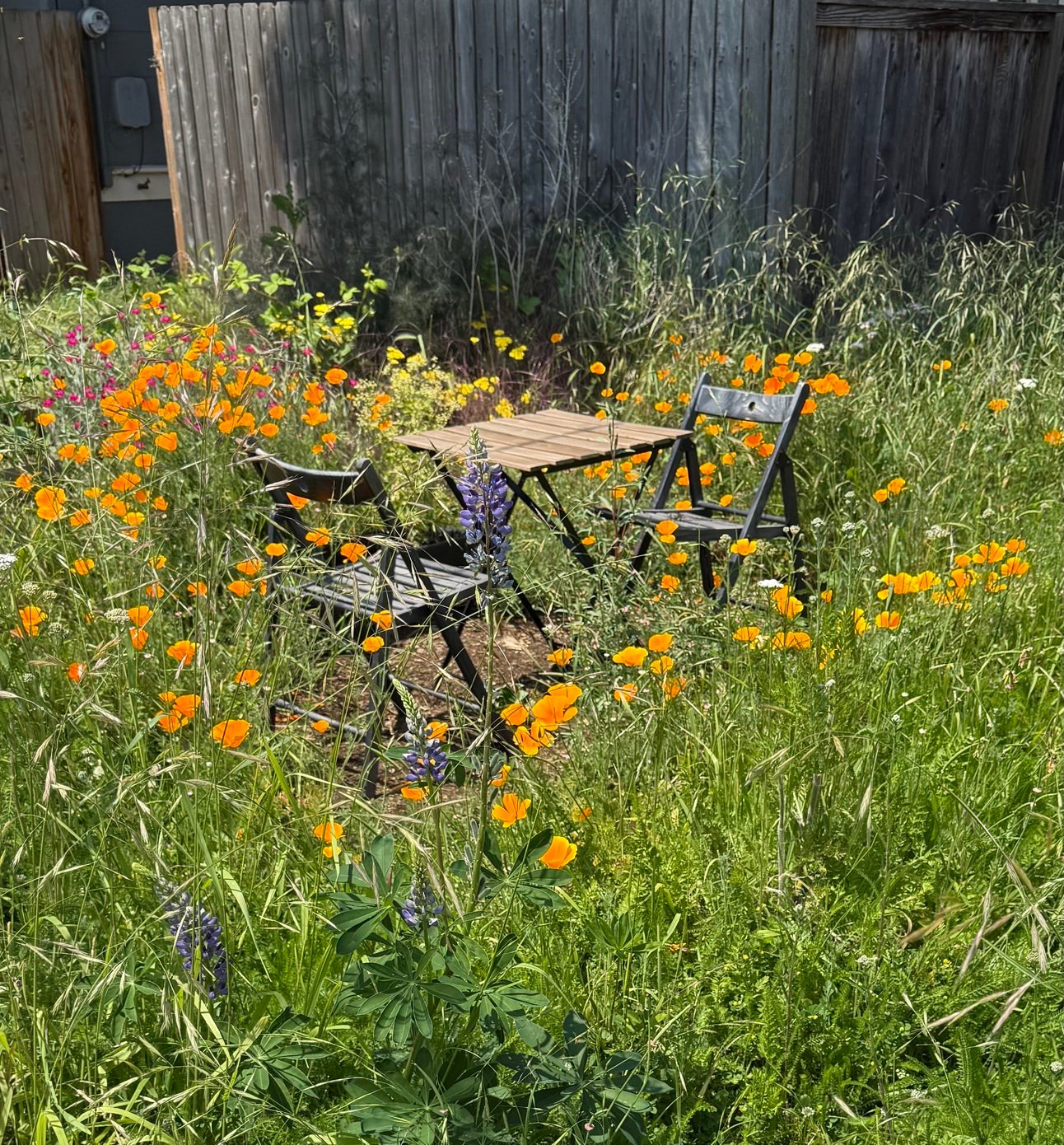 The Other Side of Sunny