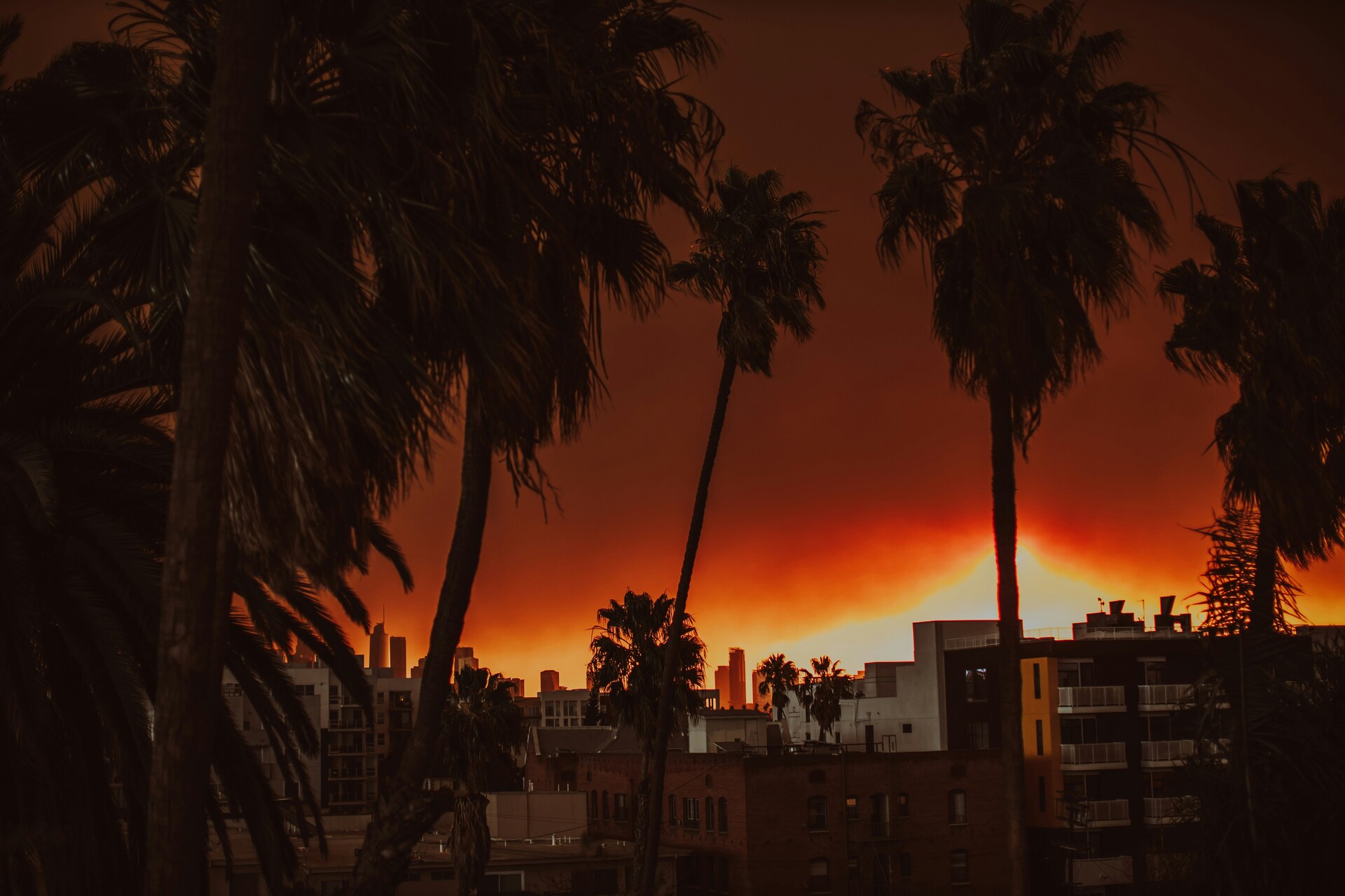 The LA Fires Augur in a New World
