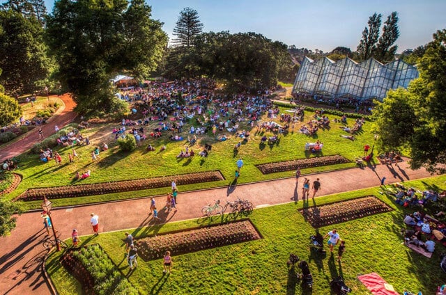 🎶 Ballarat's summer ritual returns