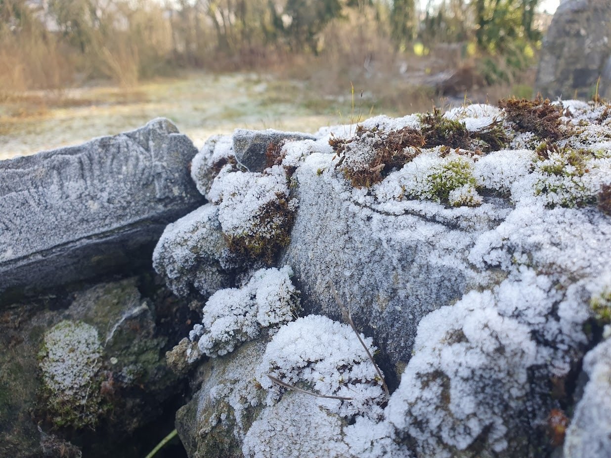 Gentle Decline 2/34: Directions & Discourse