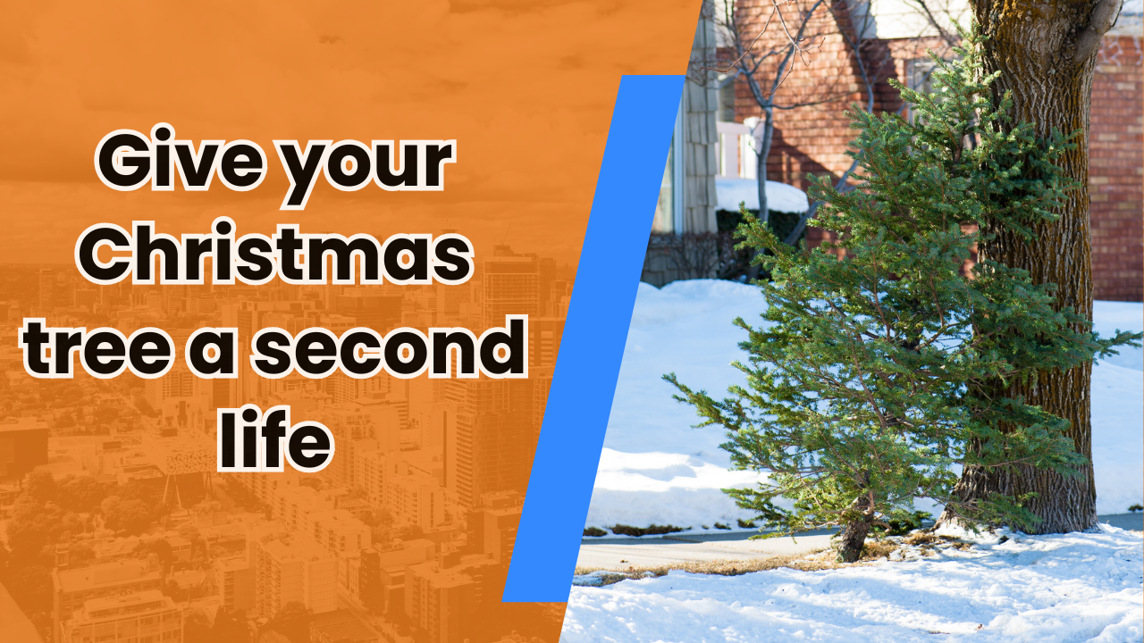 🌭 Henderson’s most lovable weenie (it’s a hot dog, calm down)