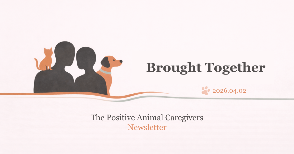 Taking Care of Yourself: Brought Together