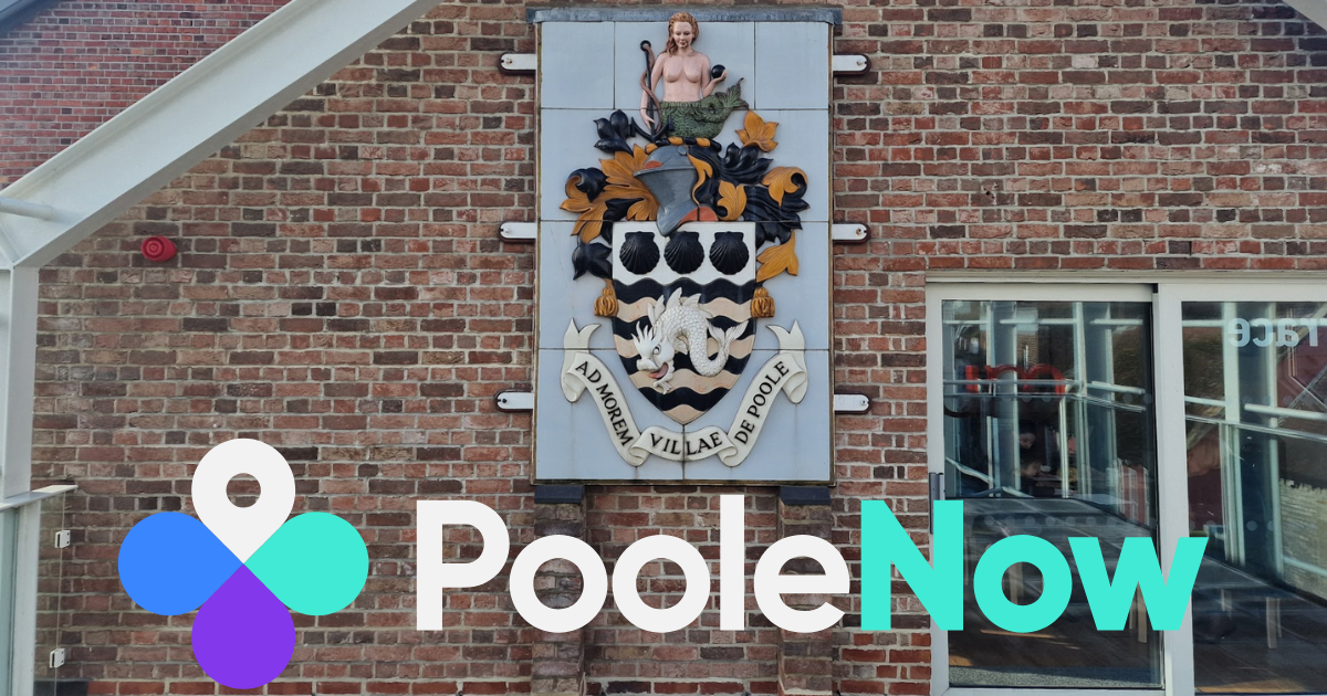 🌊17th century shipwreck, tax increase approved and we're one year old!