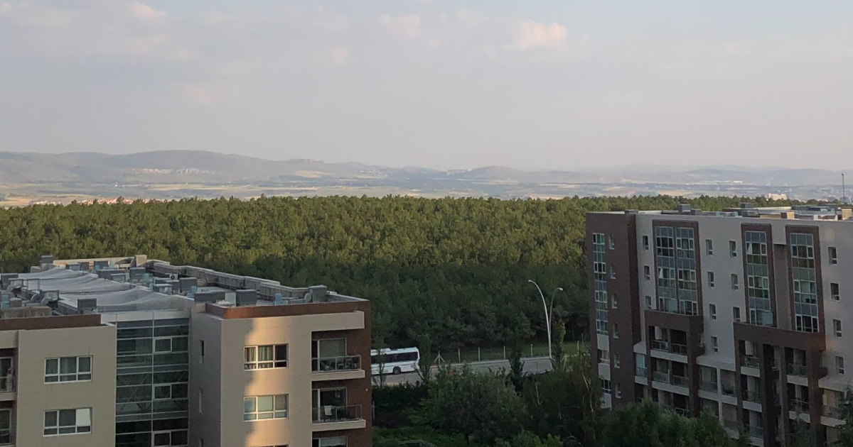 filAnkara #010: 26 Haziran-29 Haziran 2025
