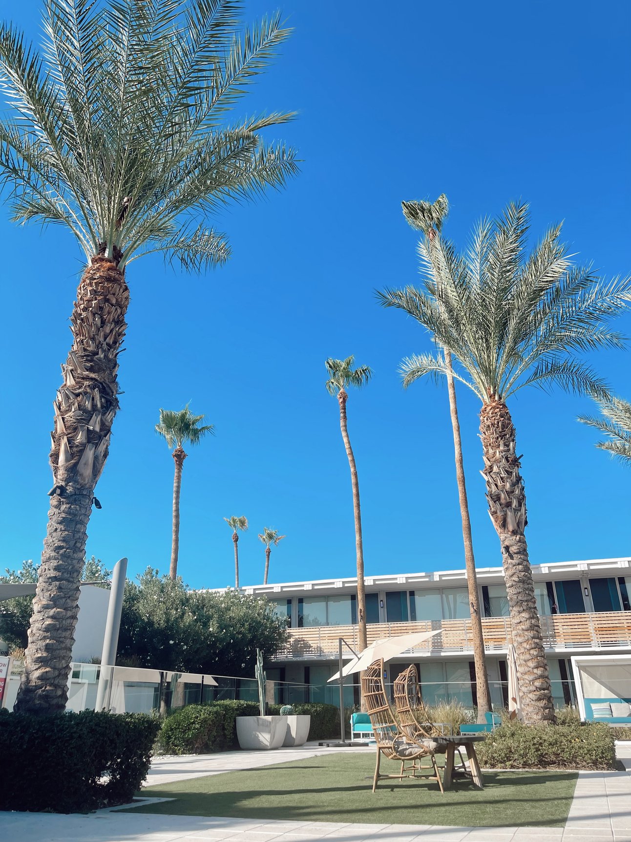 Ahead of the Curve with Elite Solutions