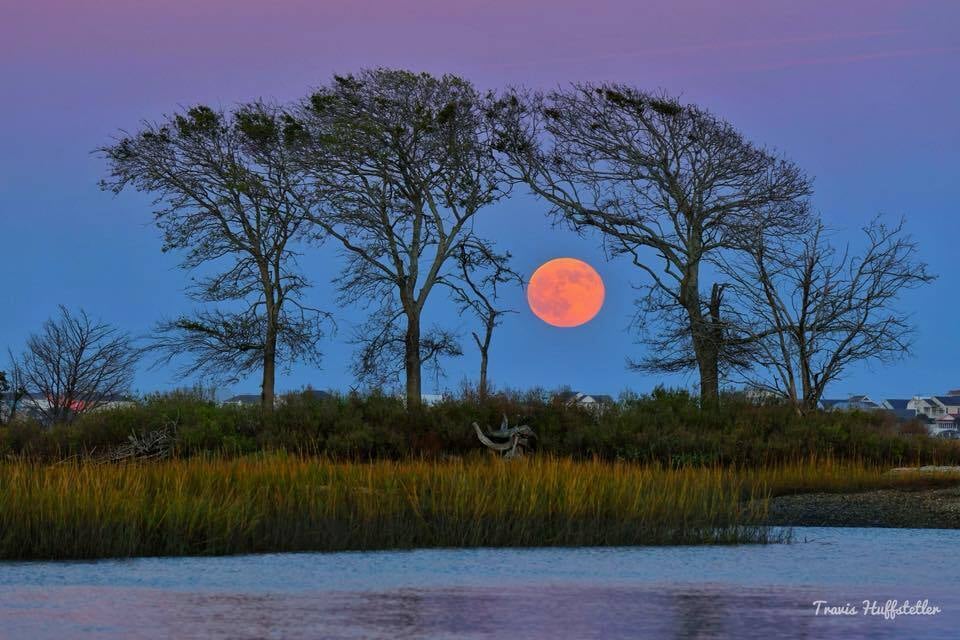 🏖️Myrtle Beach happenings and events week of 11/9/25