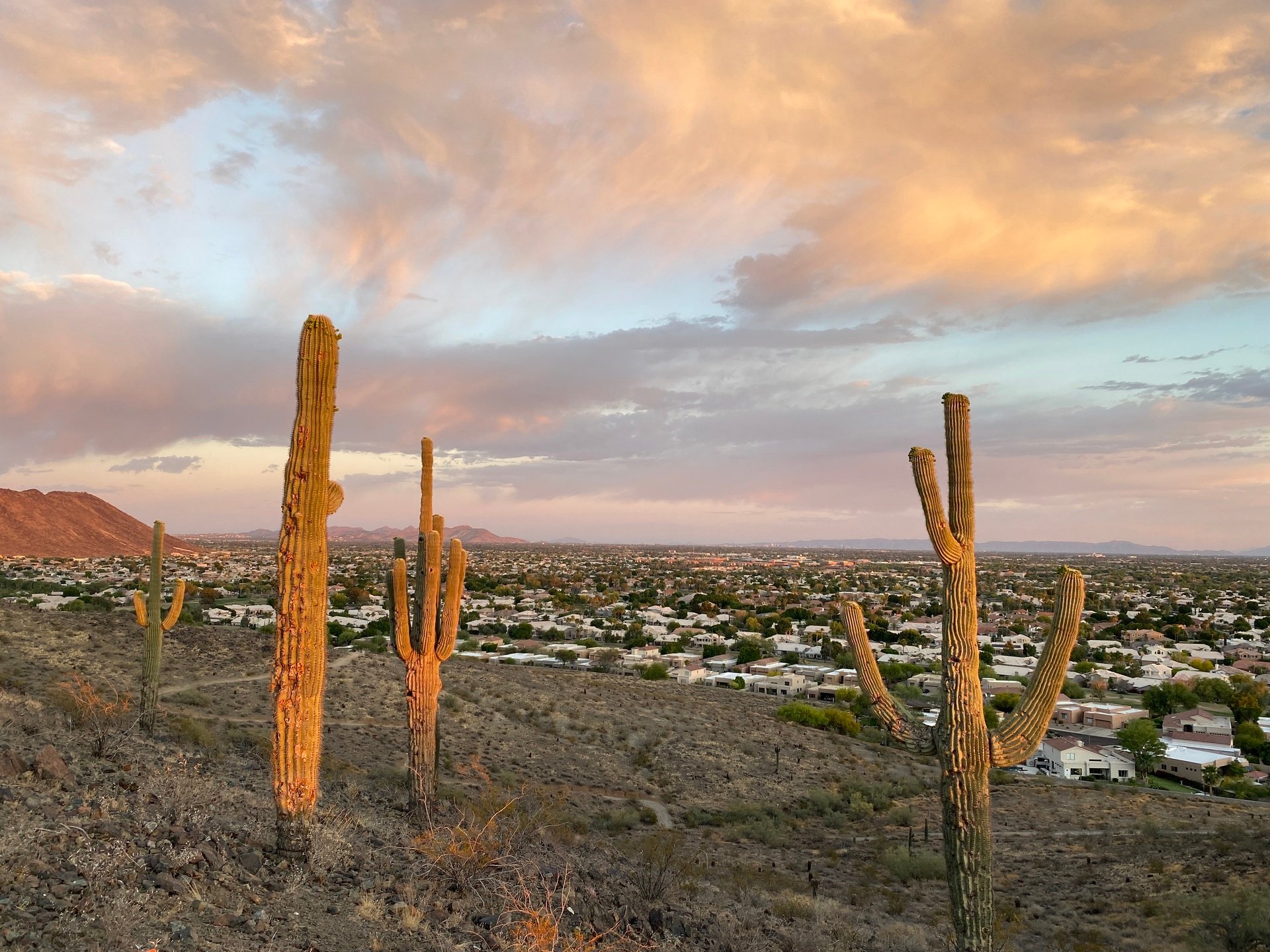 Hike Reminder: Saturday, November 29th at 8am