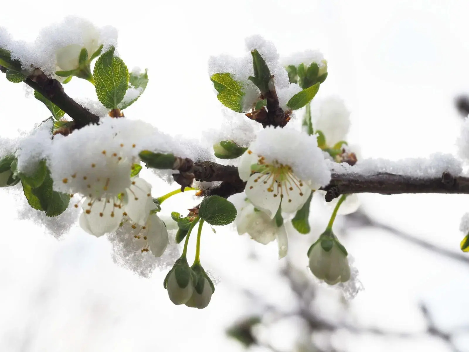 Roundup in Resilience: January 9, 2026