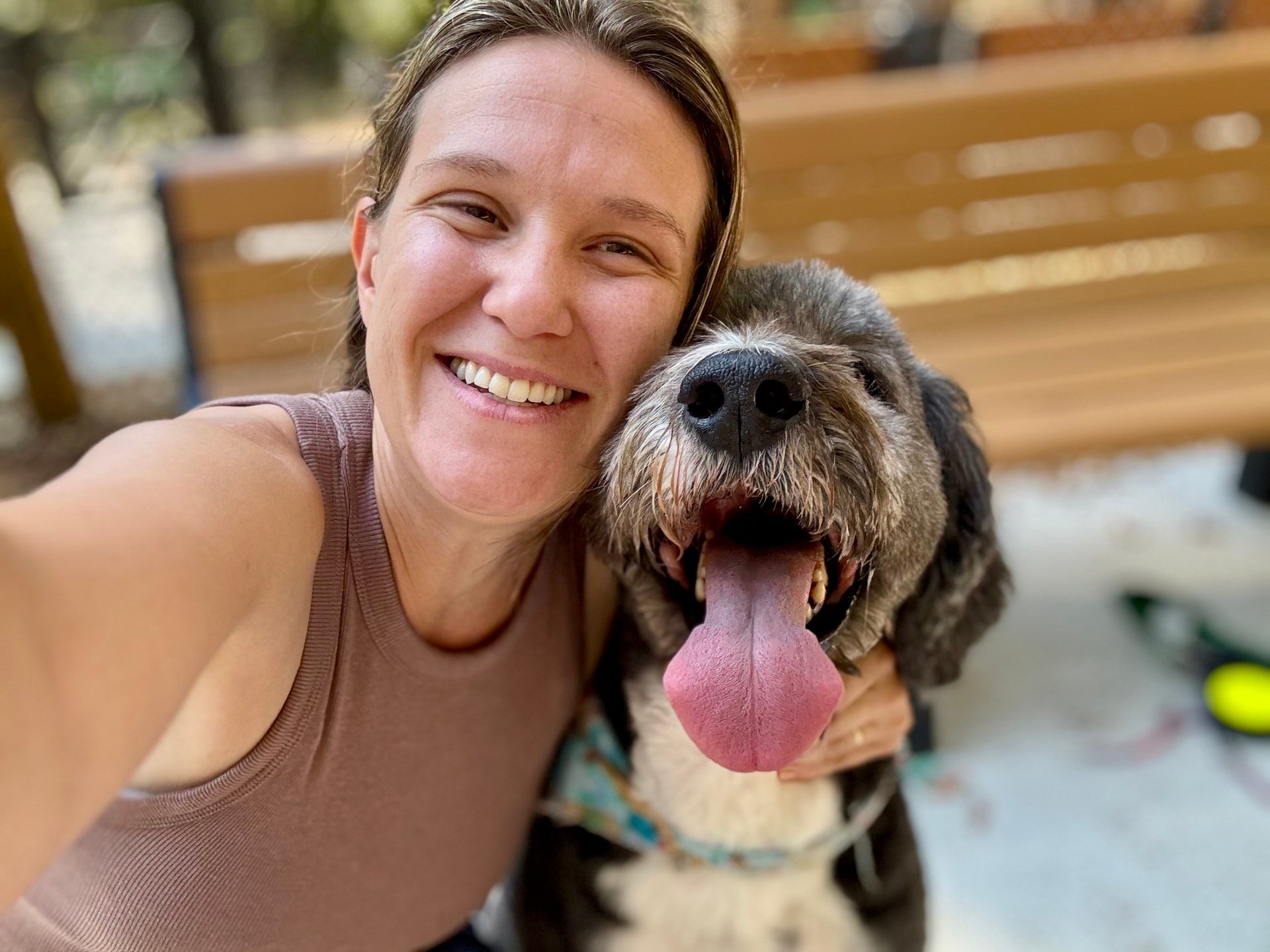 🐾 Pawmetto Parents 