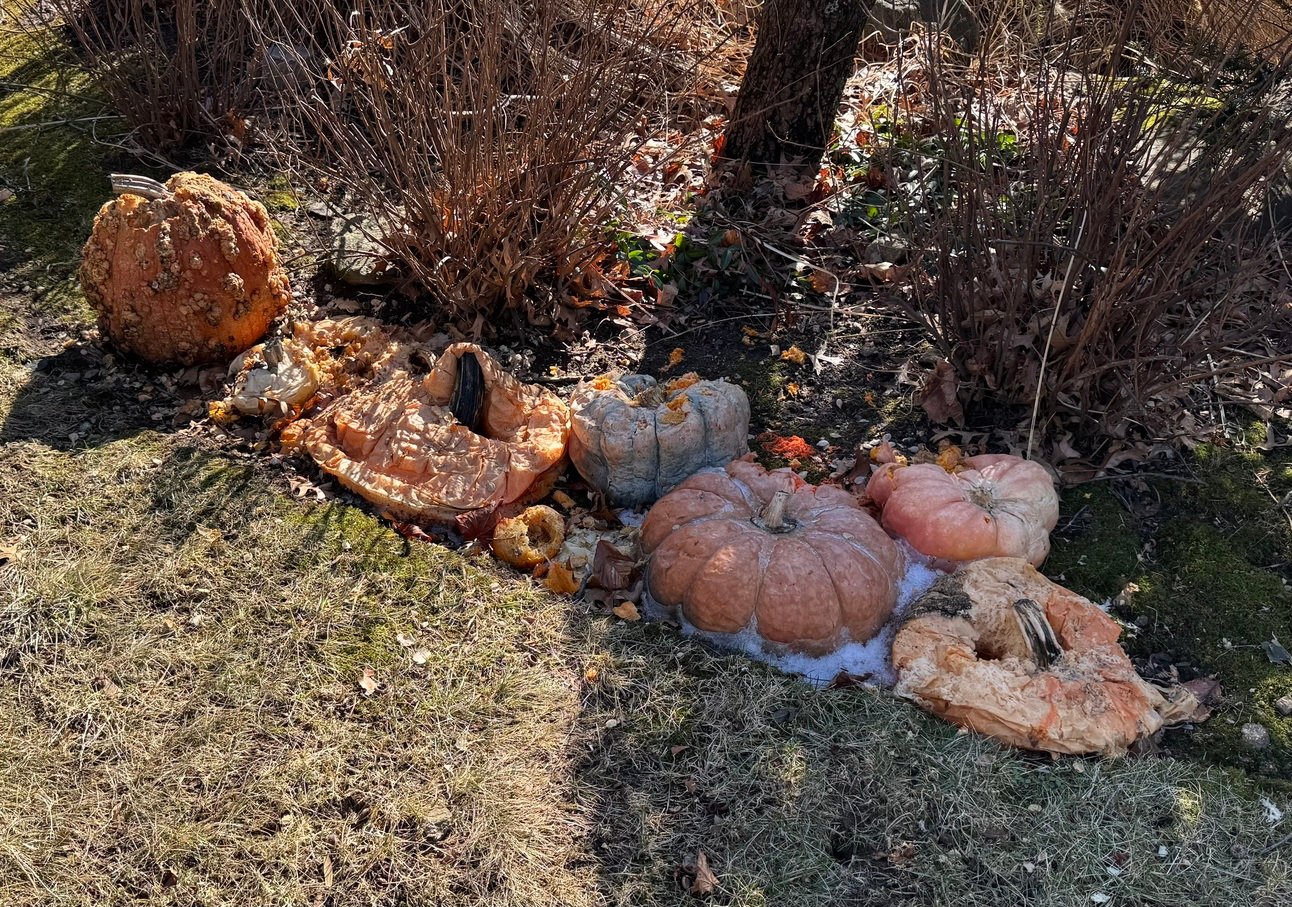 How to Build a Gallows