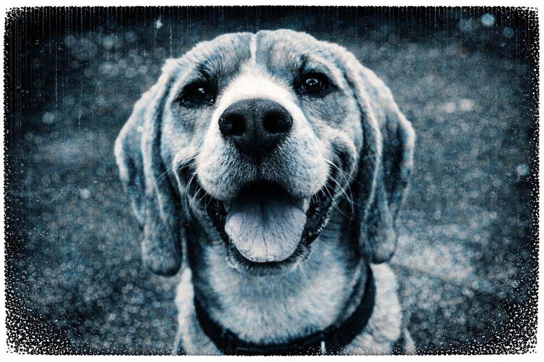 No Drug Has Ever Been Approved to Slow Aging. One Startup Is Getting Close.