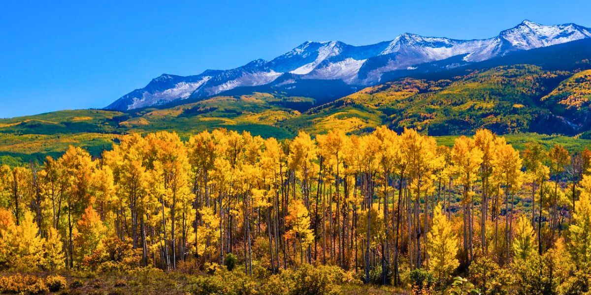 The Best Hikes in the Rocky Mountains for Fall Foliage