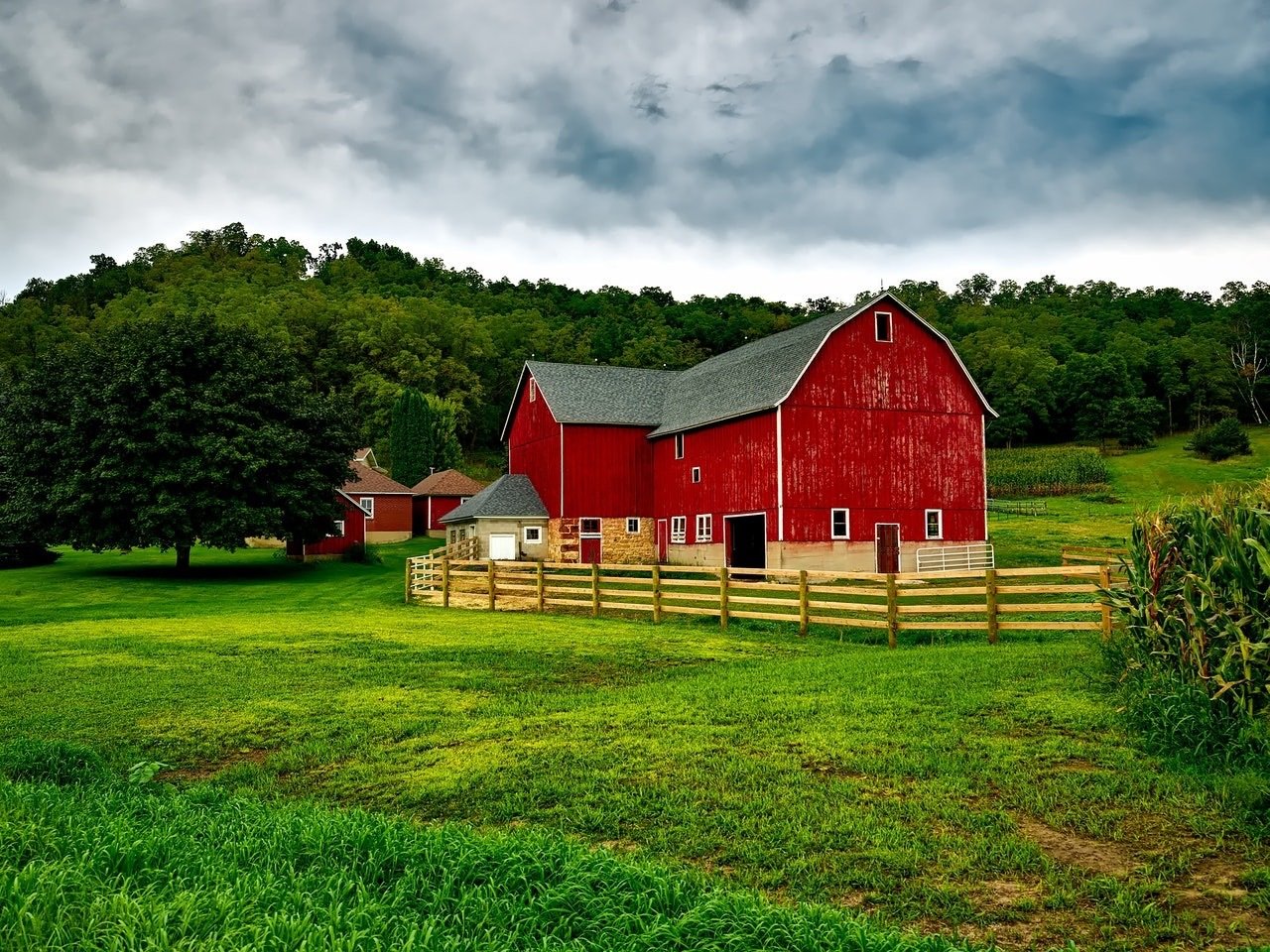 How to Help Putnam County Farmers
