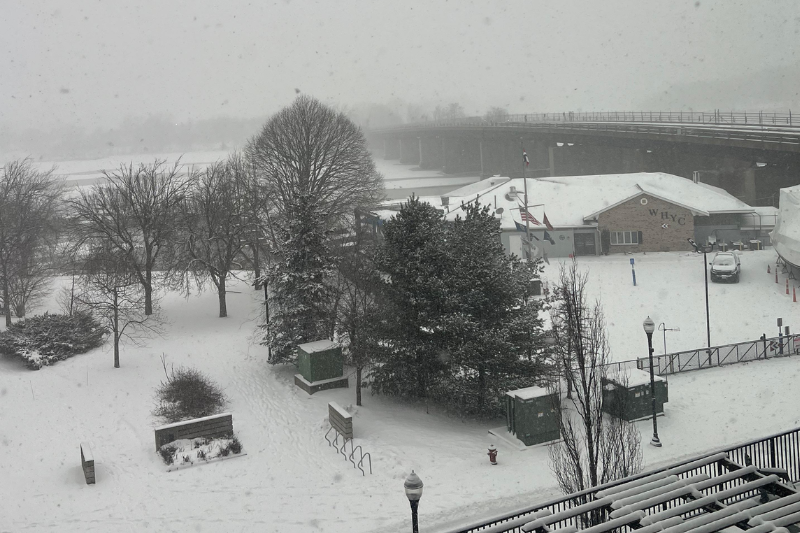 ¿Cuánta nieve cayó en tu ciudad?