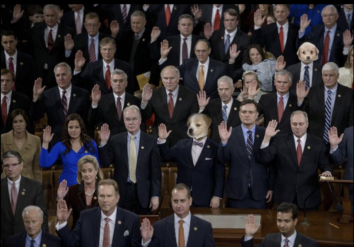 Copia a Nancy Pelosi