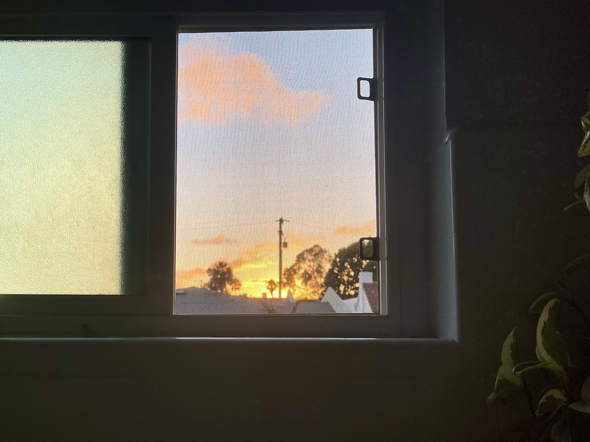 Just Motes: L.A. Sunsets, Barncore, Yamamoto, Anarchism