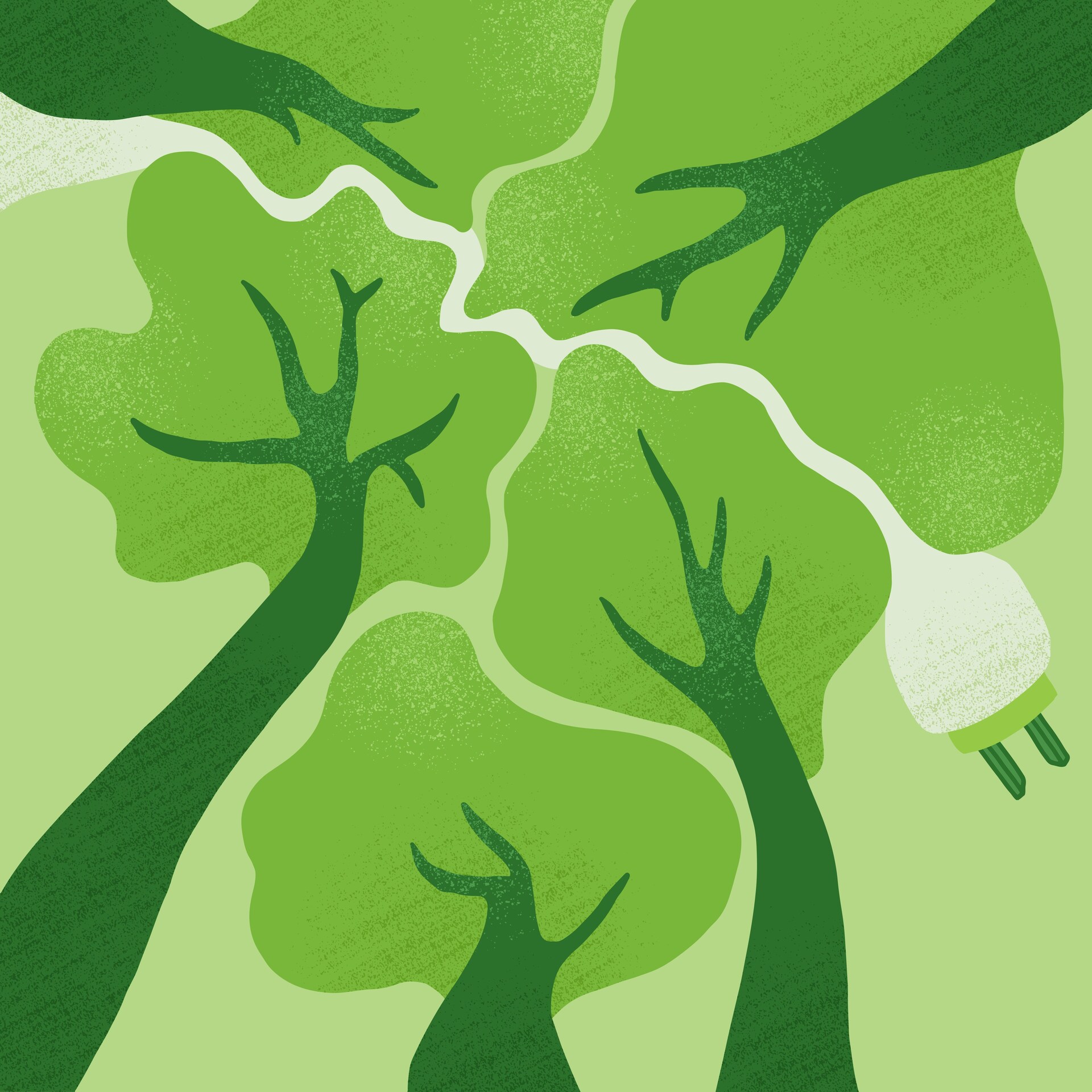 Sustainability Starts with Data: The Value of Environmental Assessments