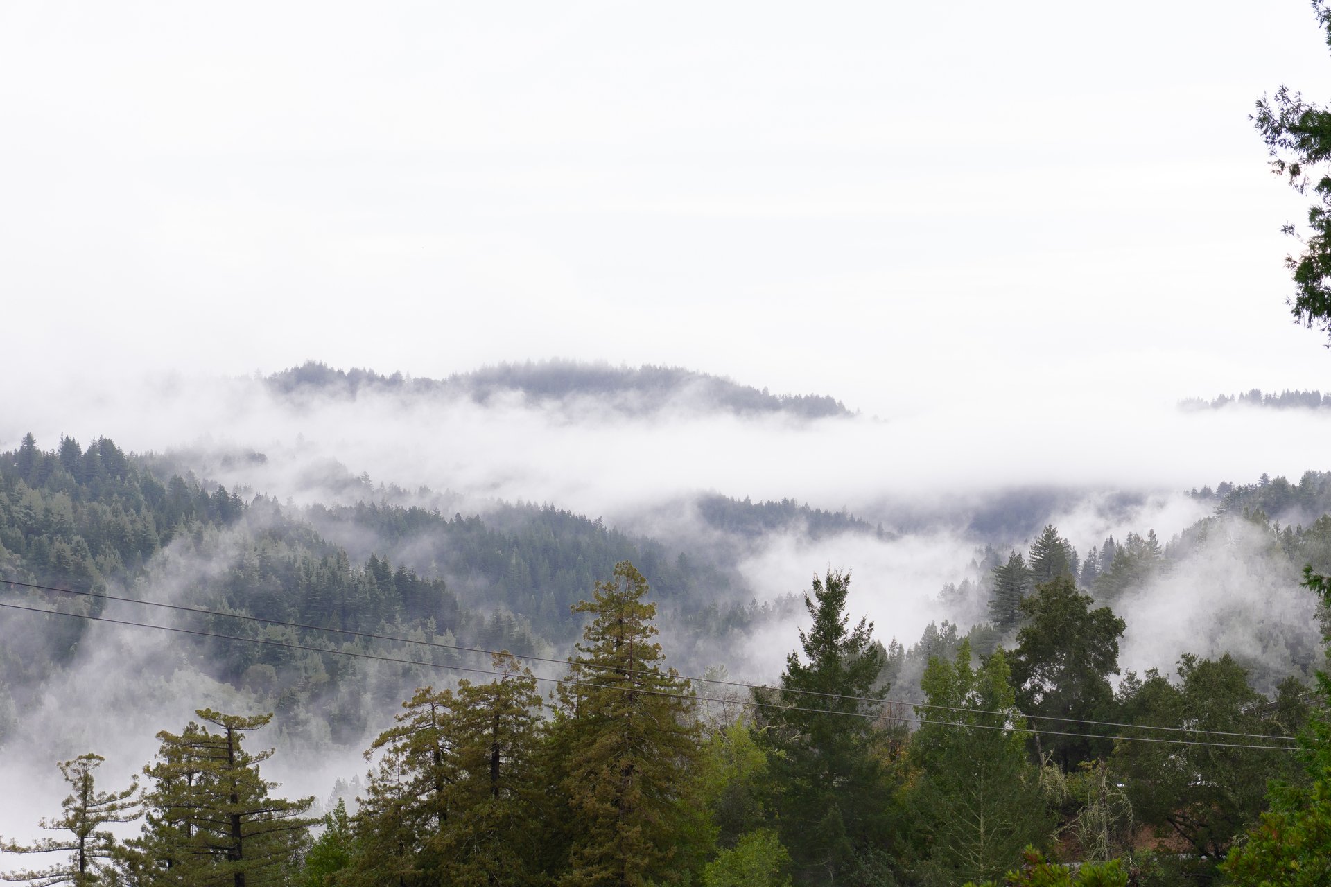 Free Download: Social Media Strategy Template for Small Business