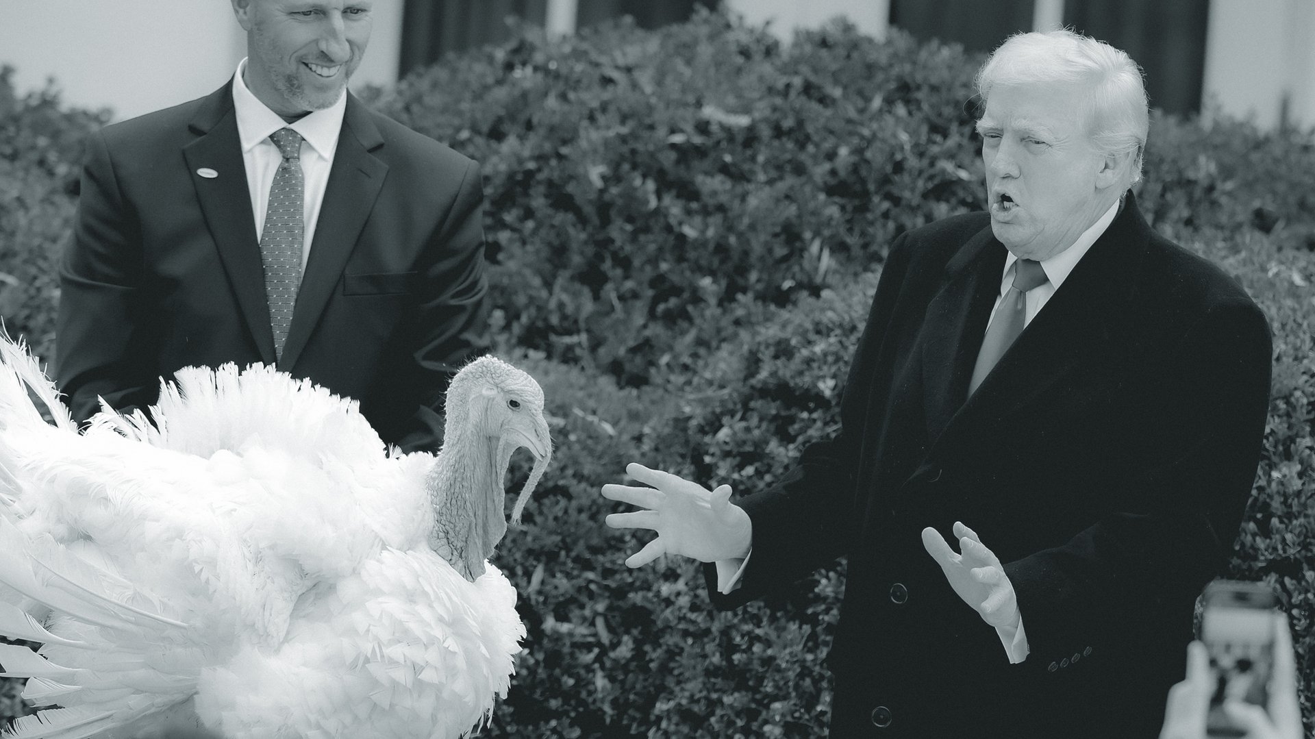 Thanksgiving Table Tactics