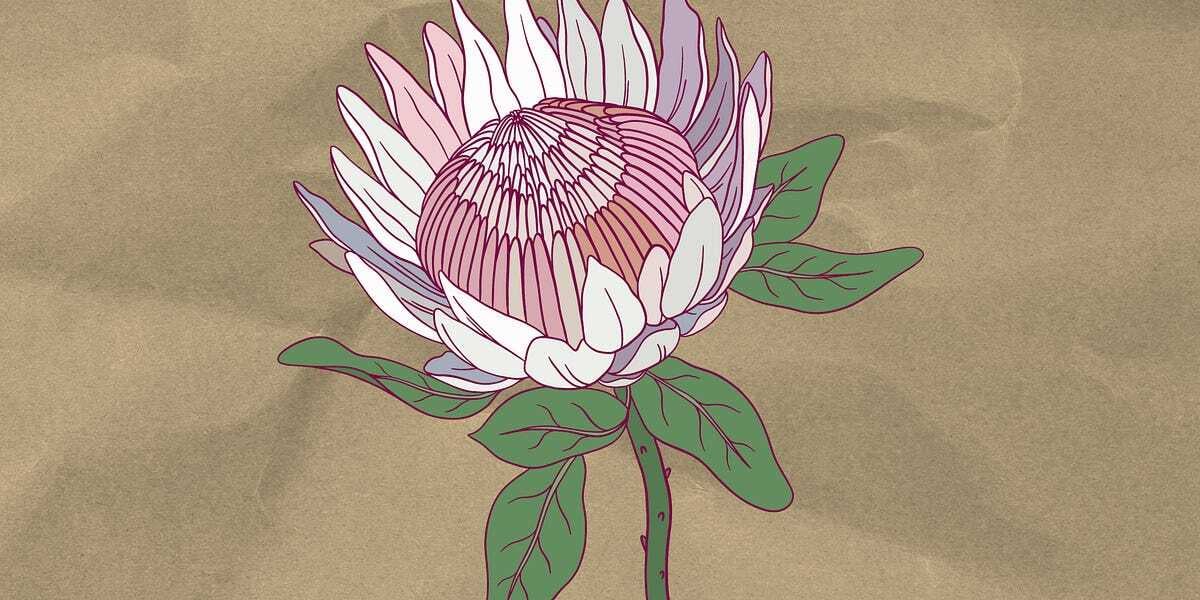 Announcing Frontier Flora: Weird West Creature Fantasy