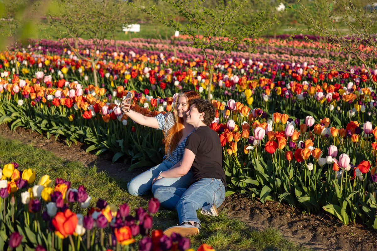 Spring events to inspire the senses