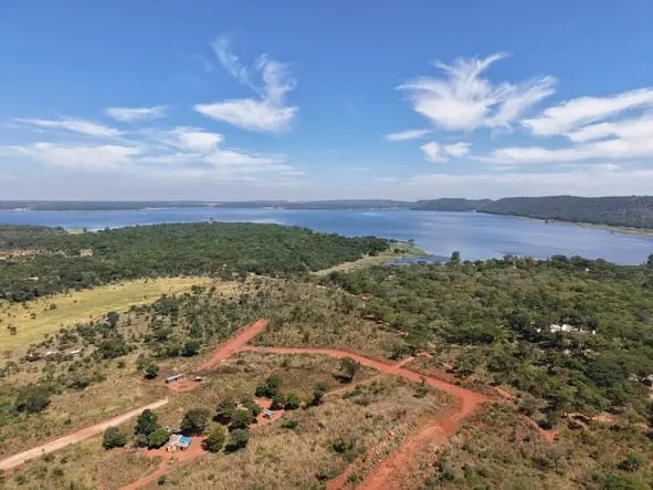  Curator’s Pick: LakeCity Stands—Issue #01 