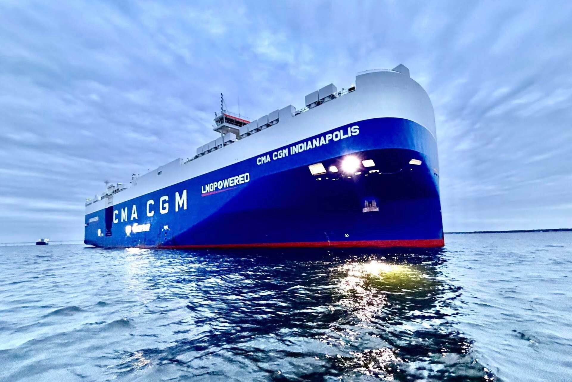 🍦Sandy Pony Donuts hits the big screen