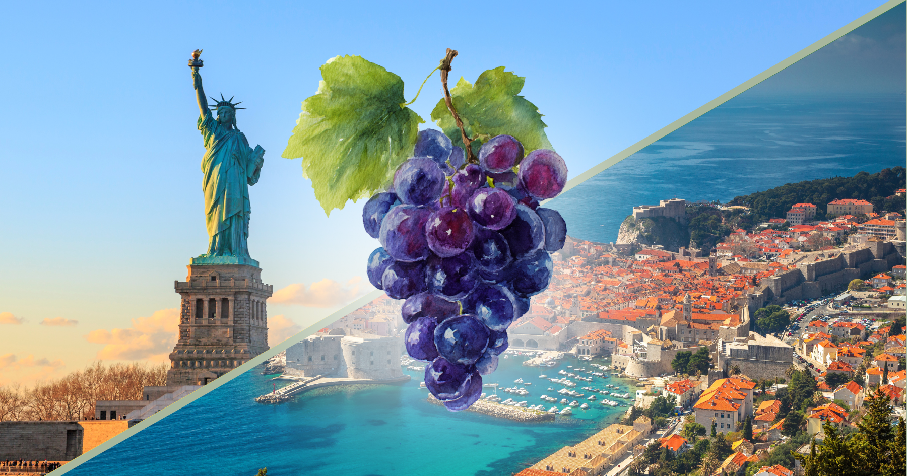 an American grape's identity crisis 🧐