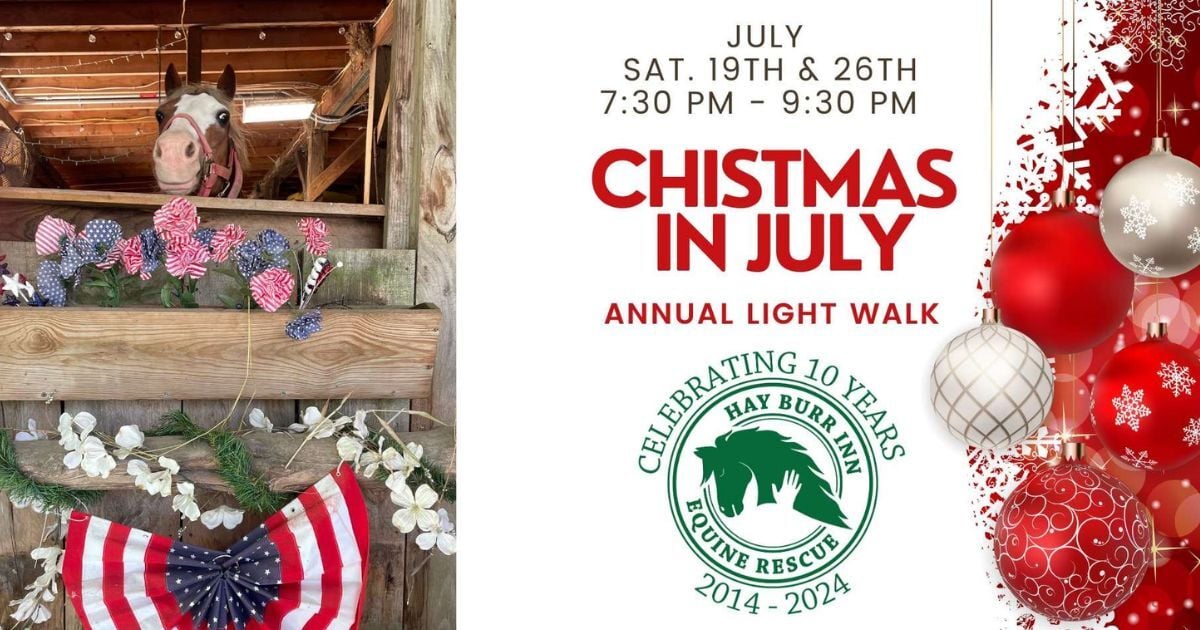 A Taste of The Holidays in July