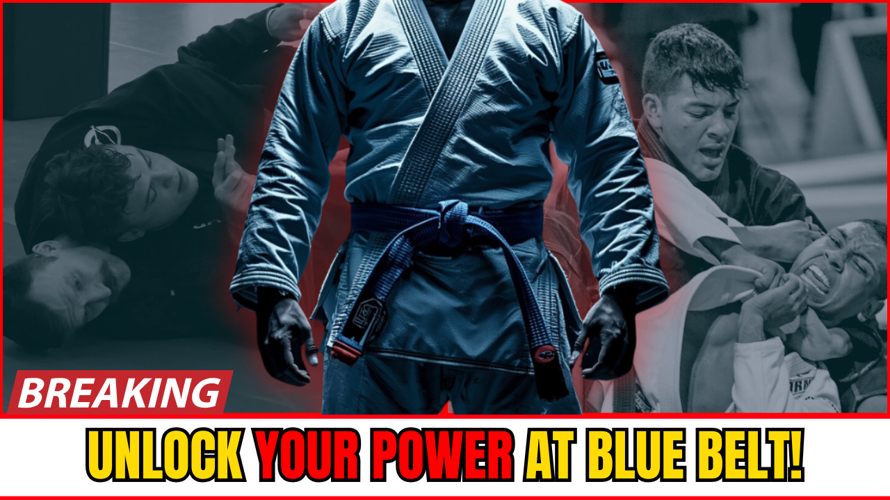 The Truth They Never Tell Blue Belts