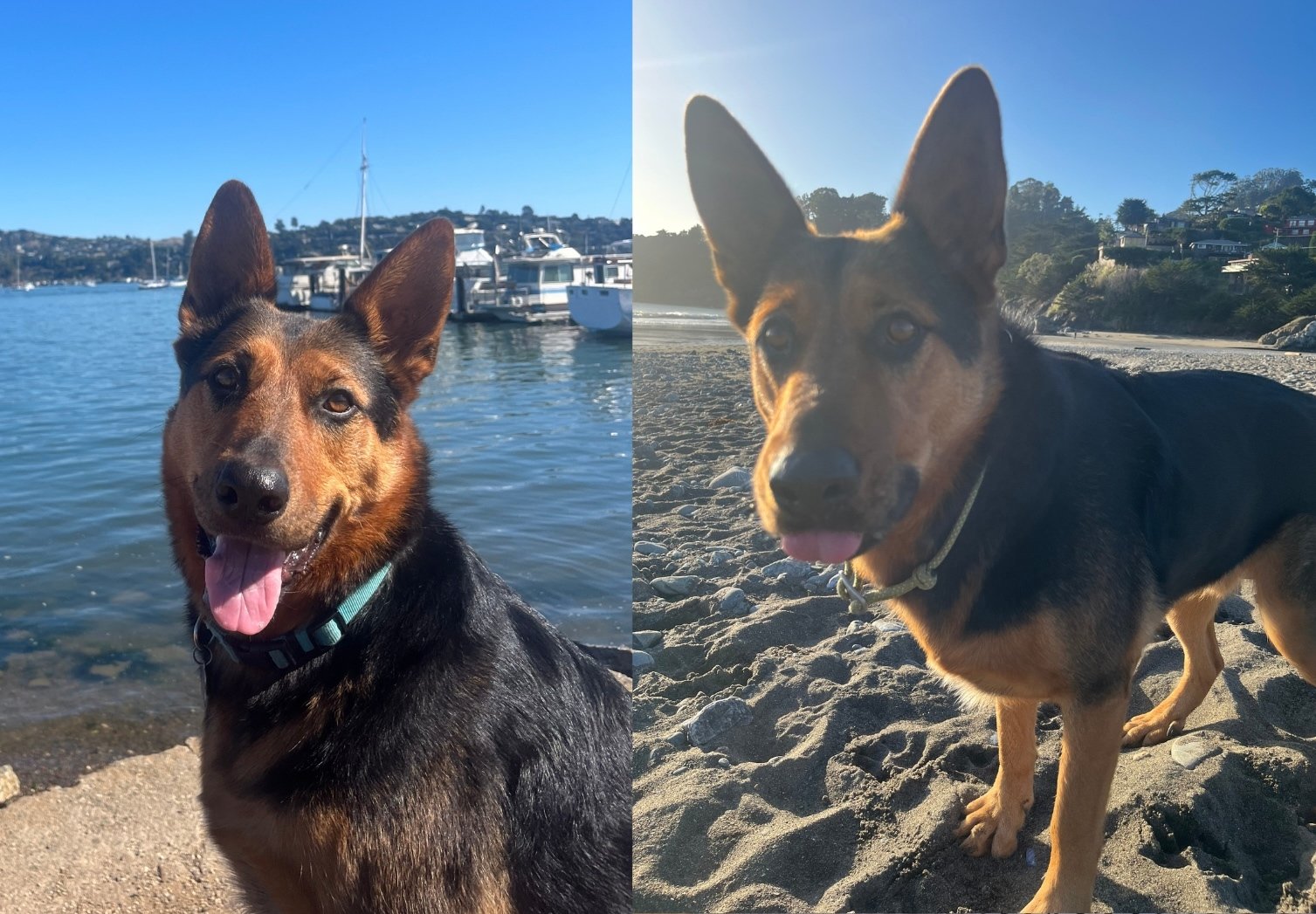 The "People's Author" Lives in Marin