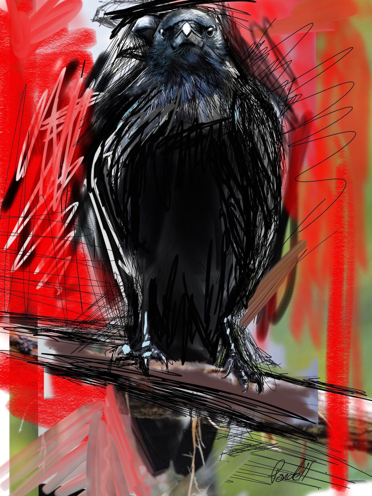 SEPTEMBER'S BACCALAUREATE