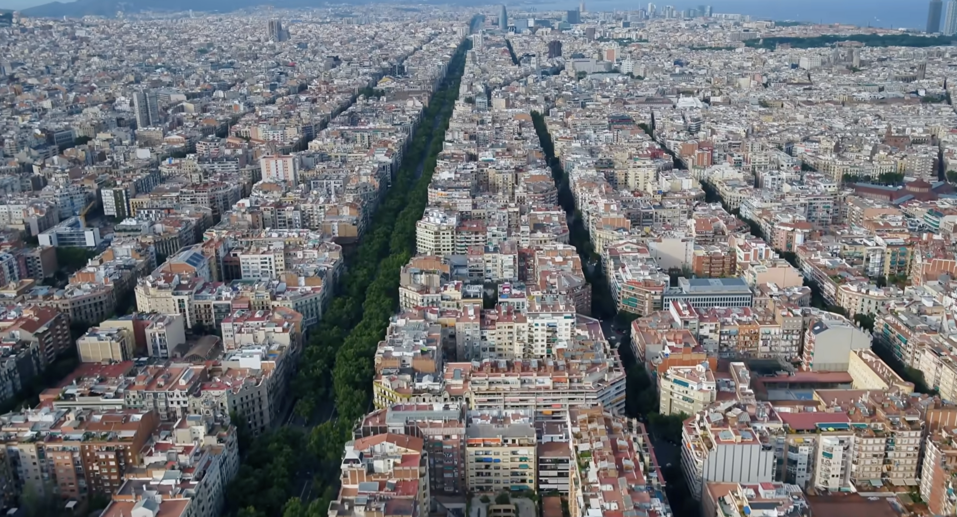 🐝 Hive Five 252 - Cheesy, Spicy, Crunchy, Saucy