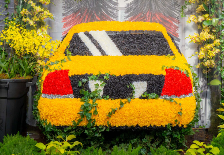 Counting down the hours until daylight savings, and much more from Ward 6.