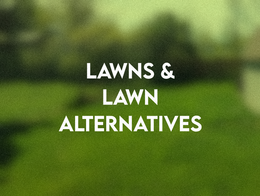 Lawns & Lawn Alternatives