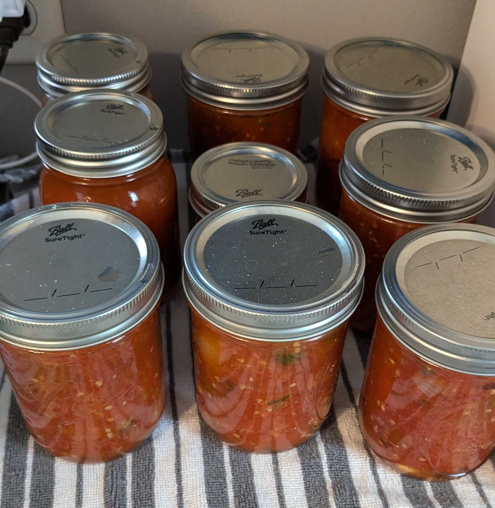 Sarah's Salsa Recipe