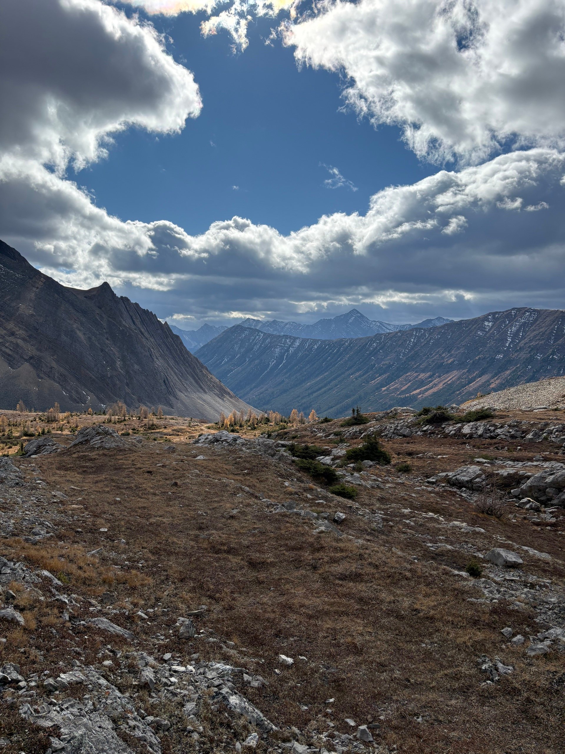 The Importance of Curiosity