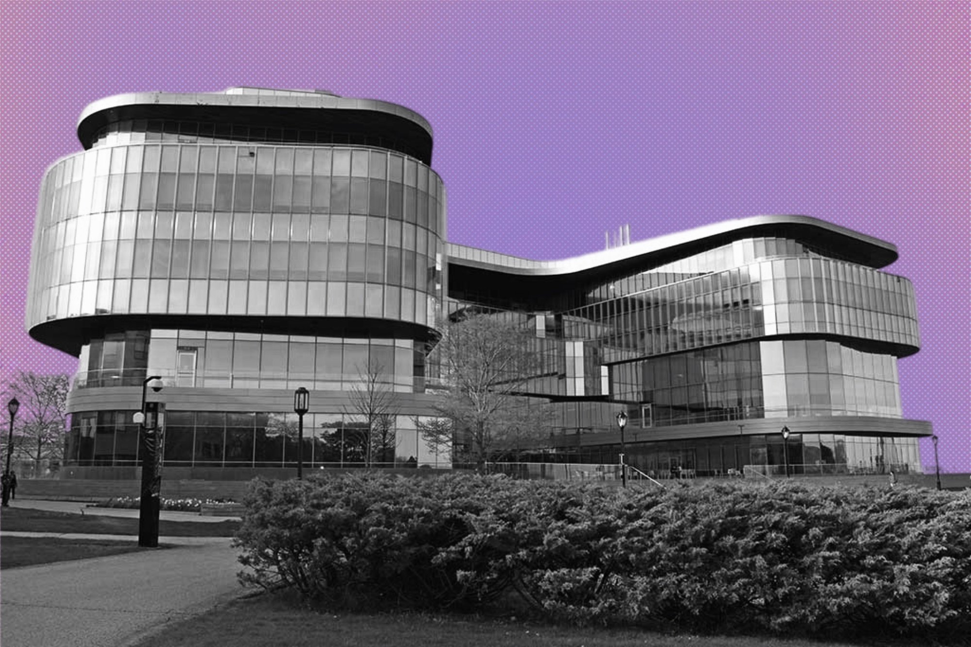 The Purple Wire: Disagreement Certificate, NU-Q Update, ASG Funding