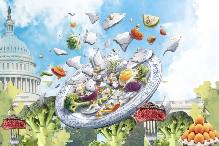 The New Food Pyramid