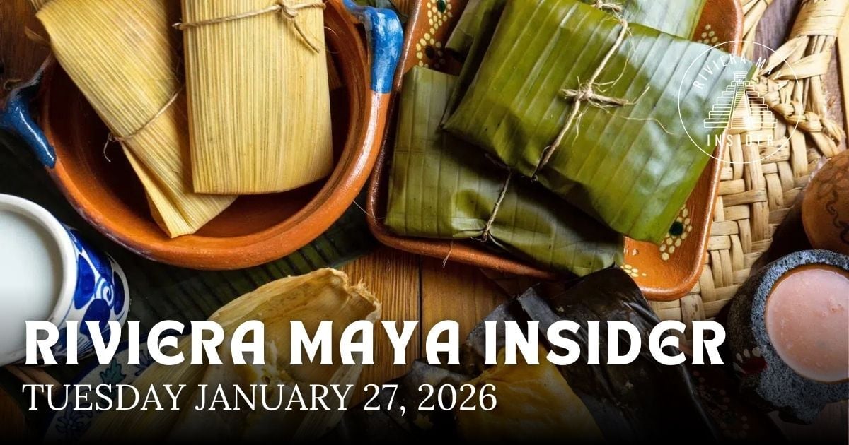 🌴 Parades, Parquimetros and Papadams