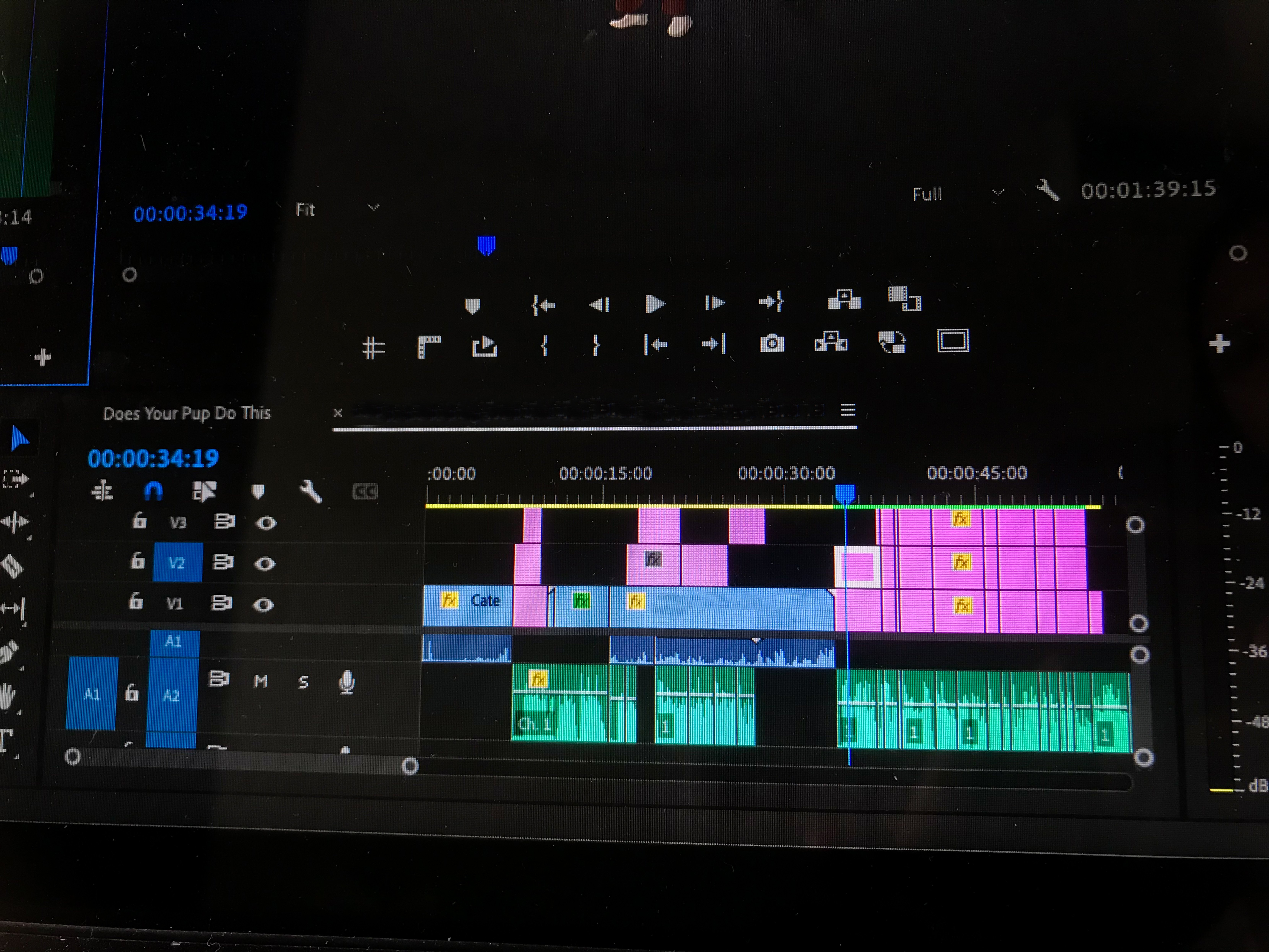 📧 $205k Google TV Roles, LEF Documentary Grants & Lunenburg Call