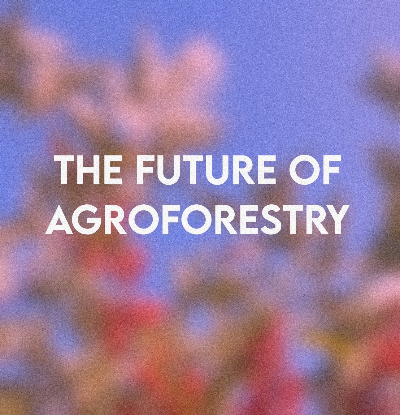 The Future of Agroforestry