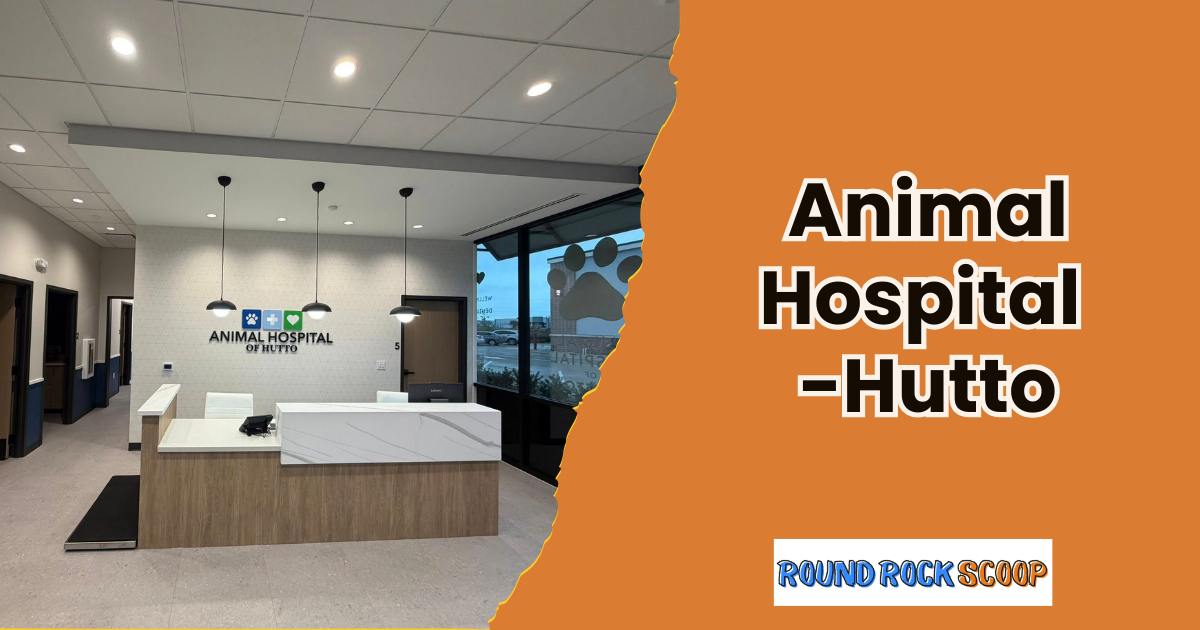 A Calm New Vet Option – Animal Hospital of Hutto